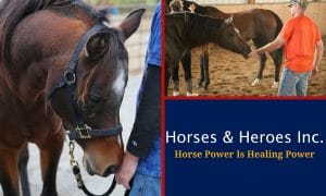 Horses And Heroes... They Go Together Like PB&J - Homes for Heroes®