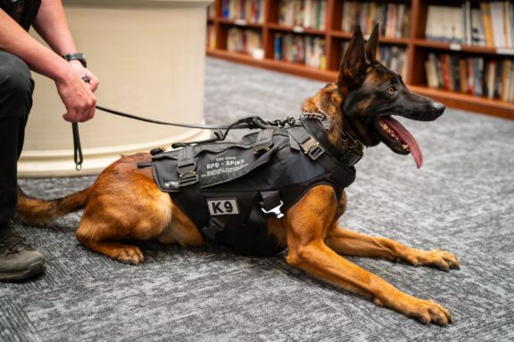 Burbank police K9 unit lying on ground held by handler at community event